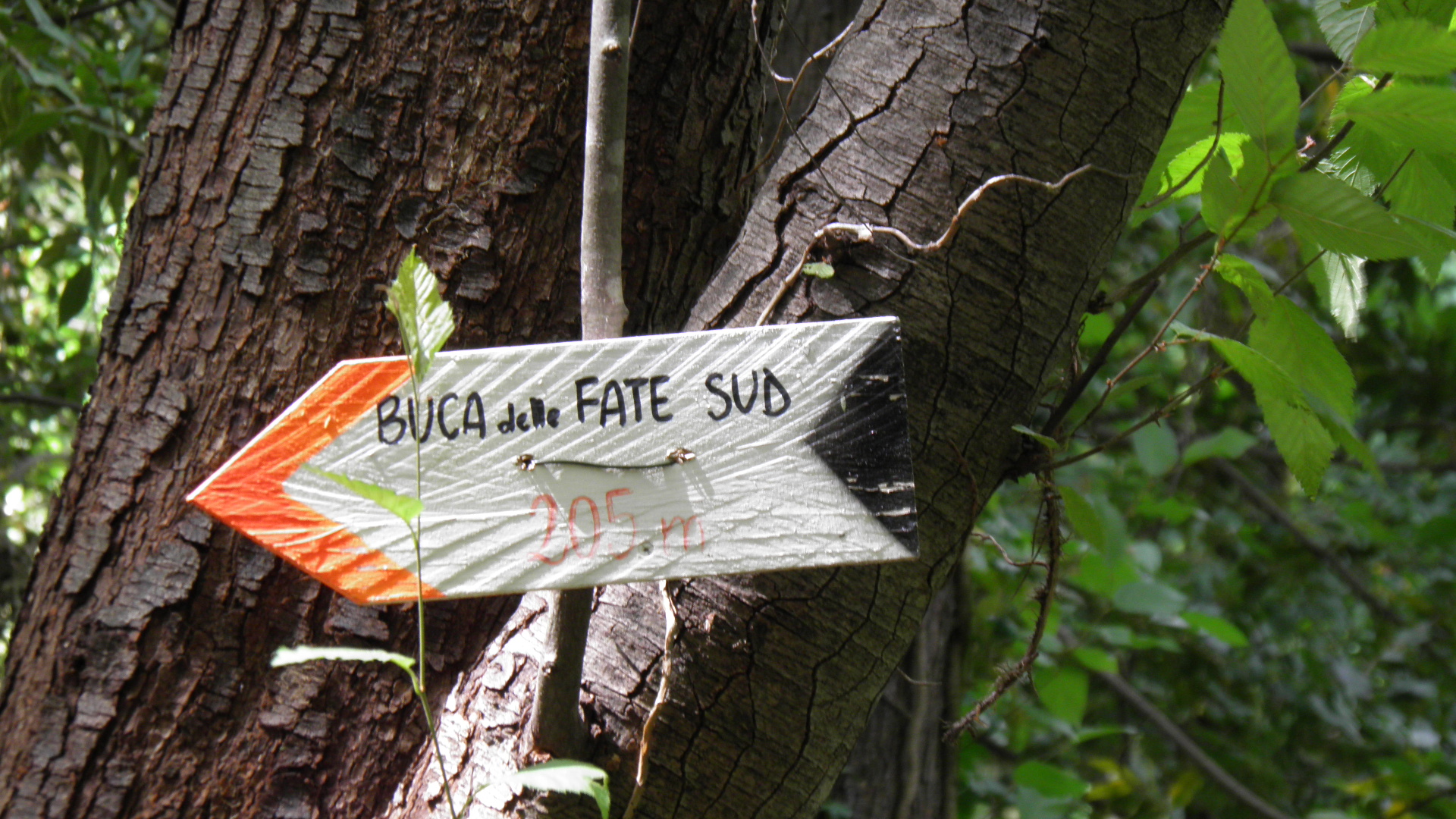 Sentiero buca delle fate