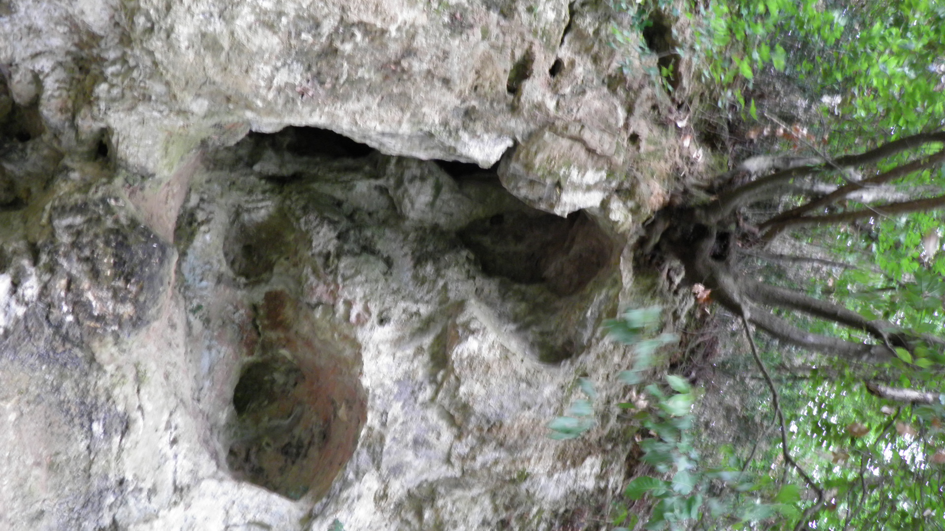 Le grotte